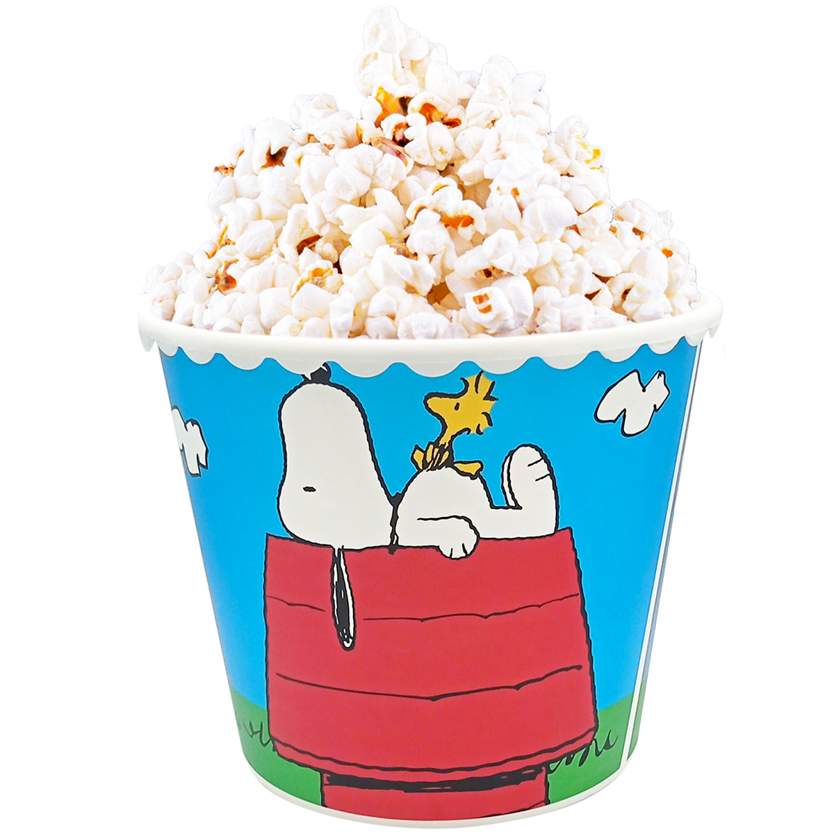 Palomera de snoopy
