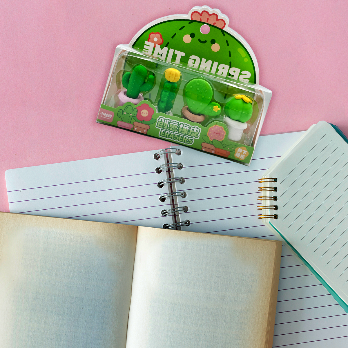 Pack de 4 gomas - Cactus