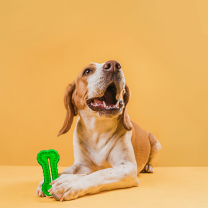 Juguete mordedera para mascota en forma de huesito - Verde limón