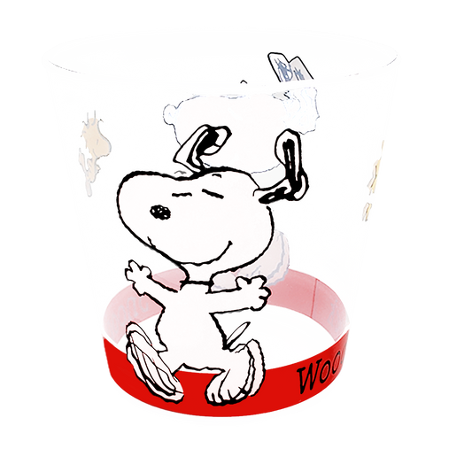 Vaso de acrilico Snoopy y Woodstock